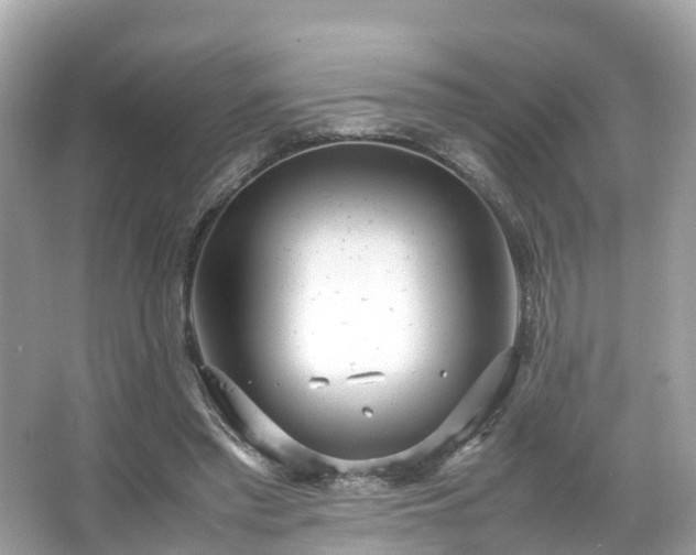 X0000066100397200603131235