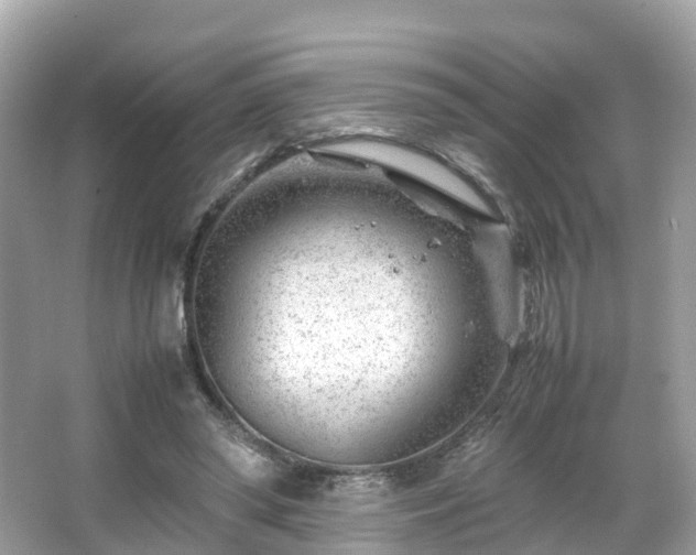 X0000066100398200603131235