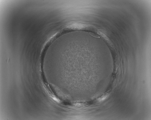 X0000066100399200603131235