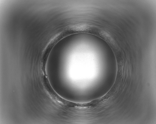 X0000066100400200603131235