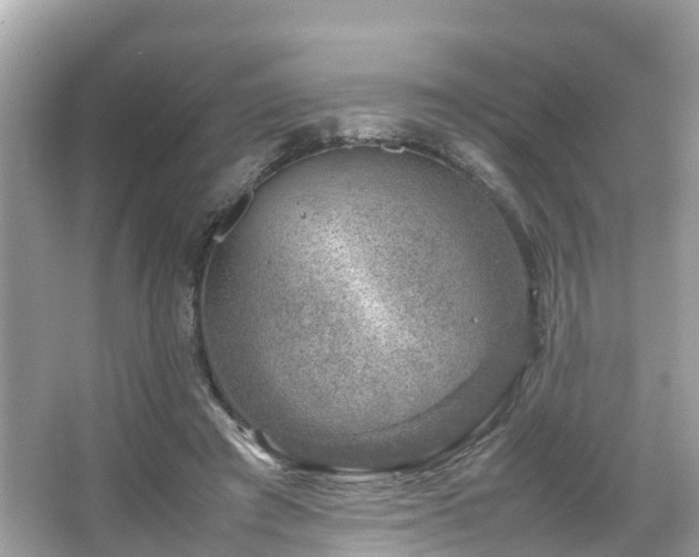 X0000066100401200603131235