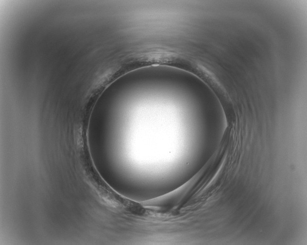 X0000066100403200603131235