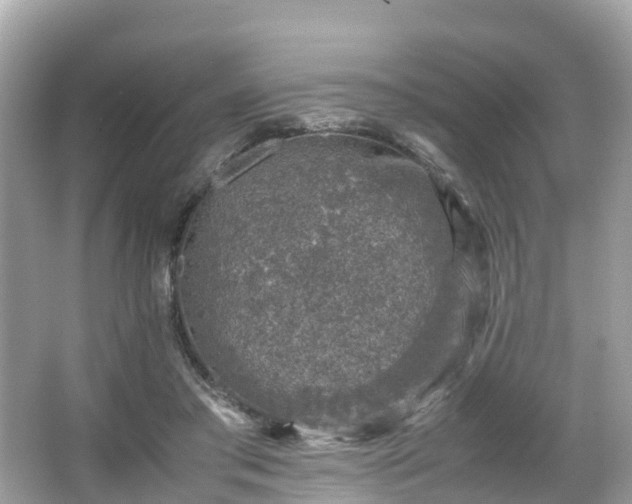 X0000066100405200603131235