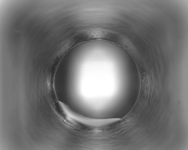 X0000066100406200603131235