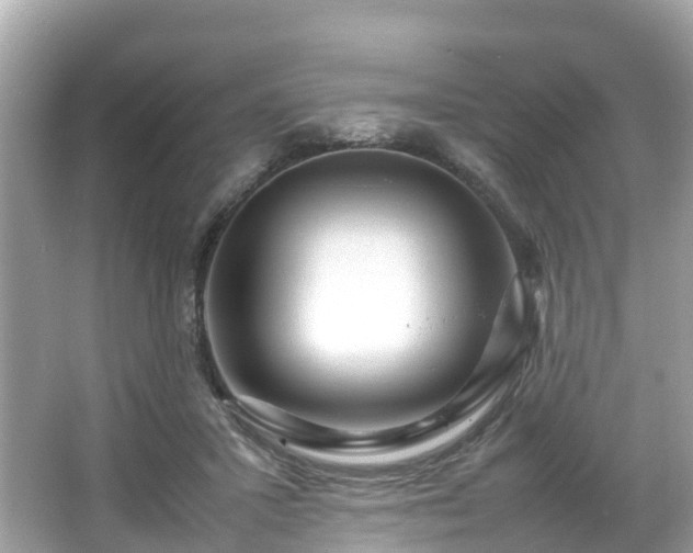 X0000066100407200603131235