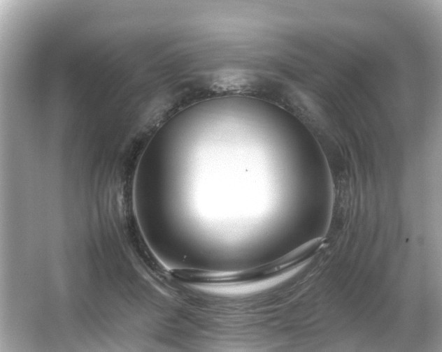 X0000066100408200603131235