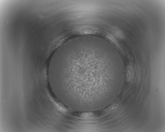 X0000066100410200603131235