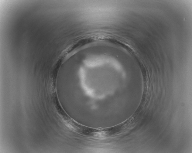 X0000066100411200603131235