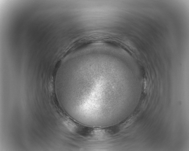 X0000066100413200603131235