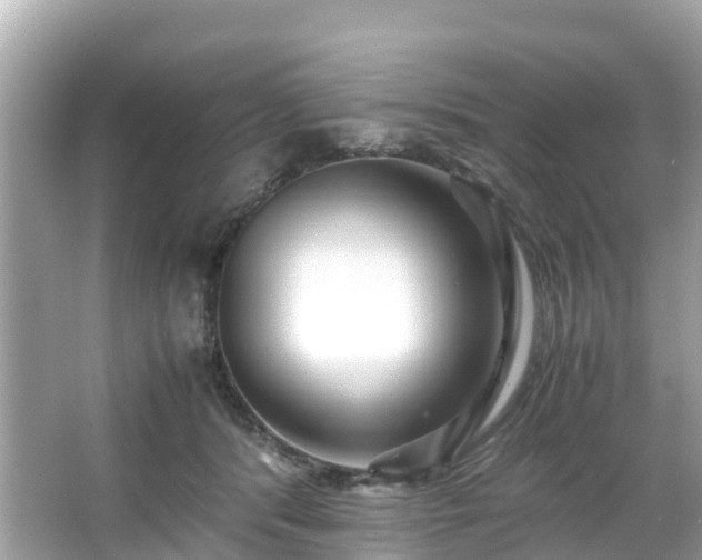 X0000066100416200603131235