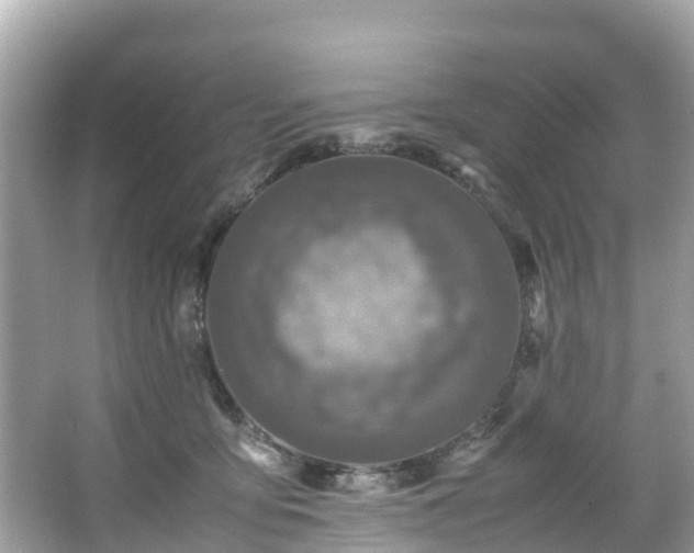 X0000066100419200603131235