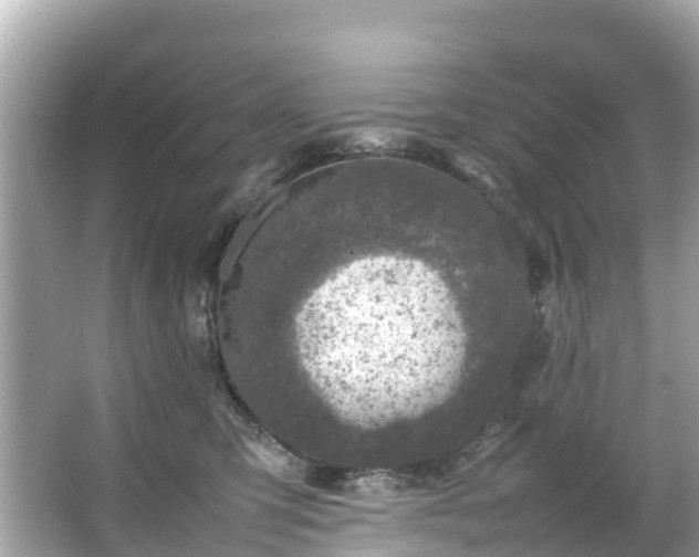 X0000066100423200603131235