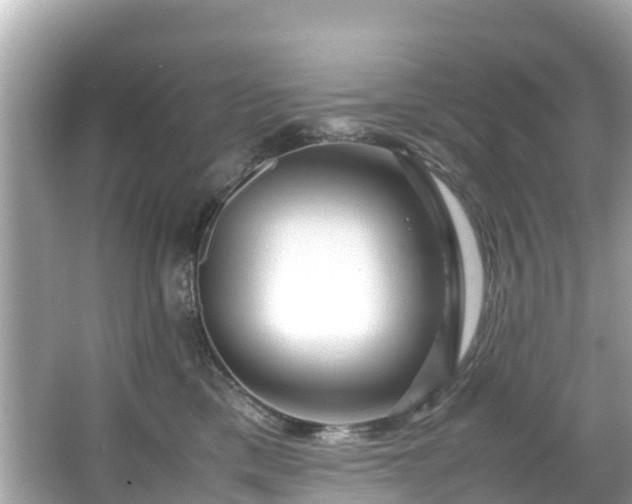 X0000066100425200603131235