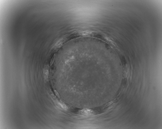 X0000066100427200603131235