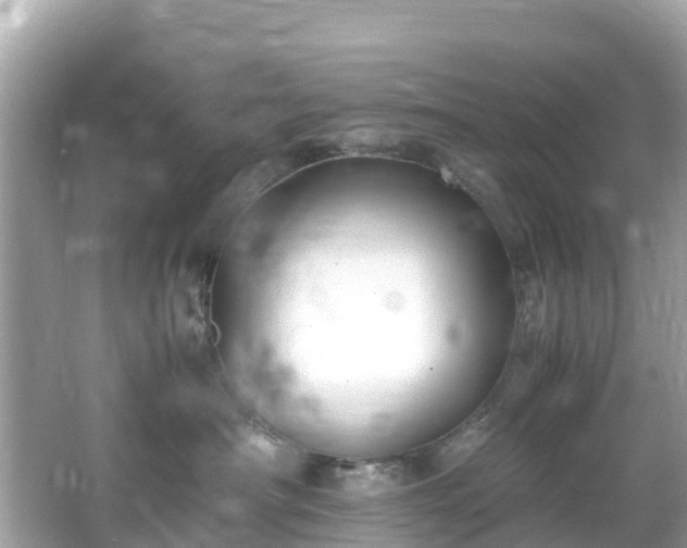 X0000066100430200603131235