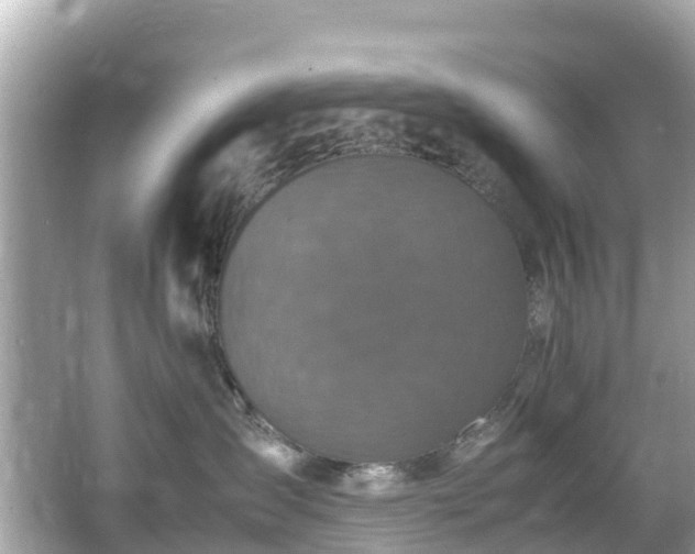 X0000066100431200603131235