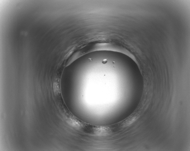 X0000066100432200603131235