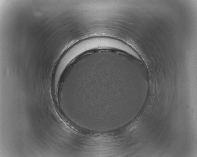 X0000066100434200603131234