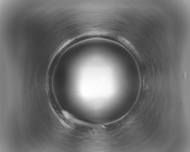 X0000066100436200603131234