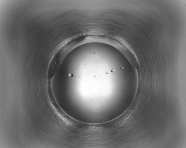 X0000066100437200603131234