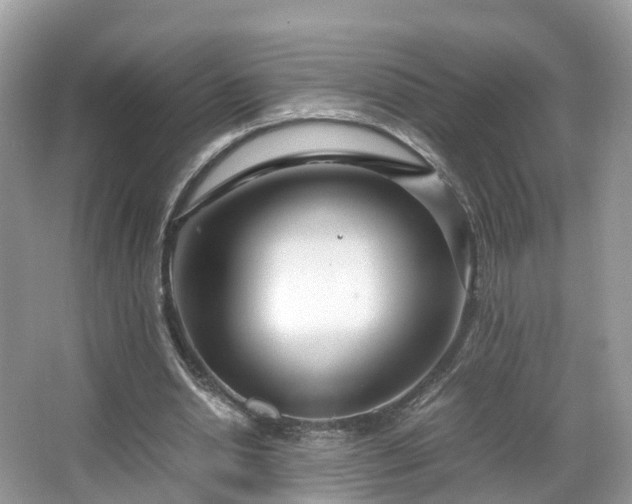 X0000066100438200603131234