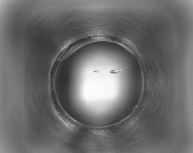 X0000066100439200603131234