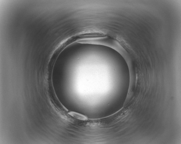 X0000066100440200603131234