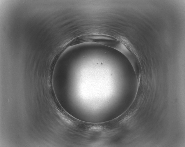 X0000066100441200603131234