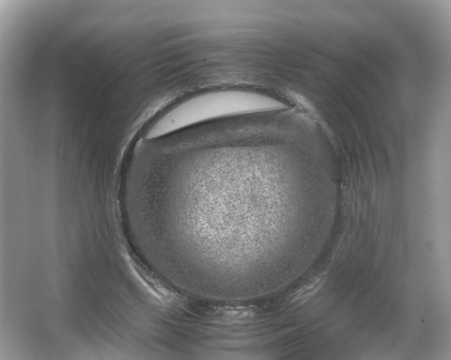 X0000066100443200603131234