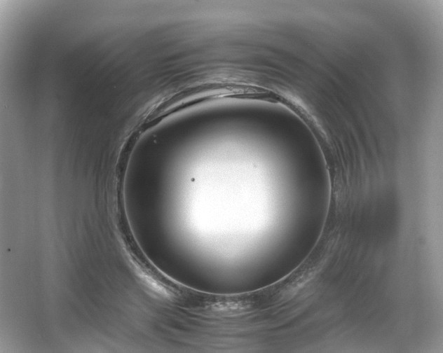 X0000066100445200603131234