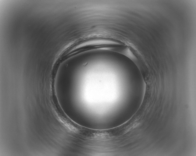 X0000066100446200603131234