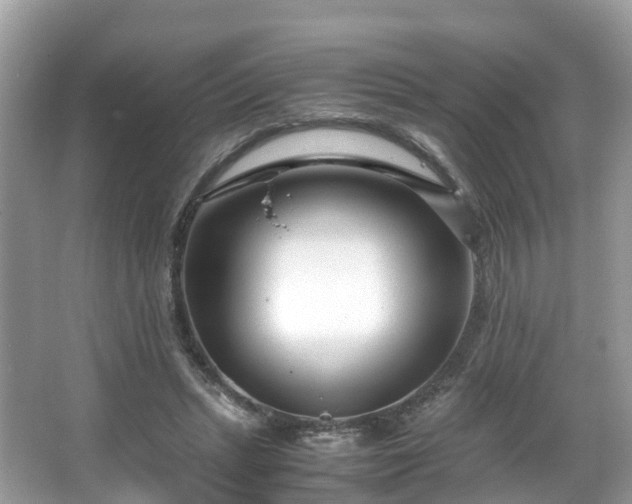 X0000066100447200603131234