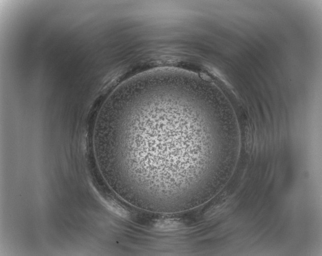 X0000066100451200603131234