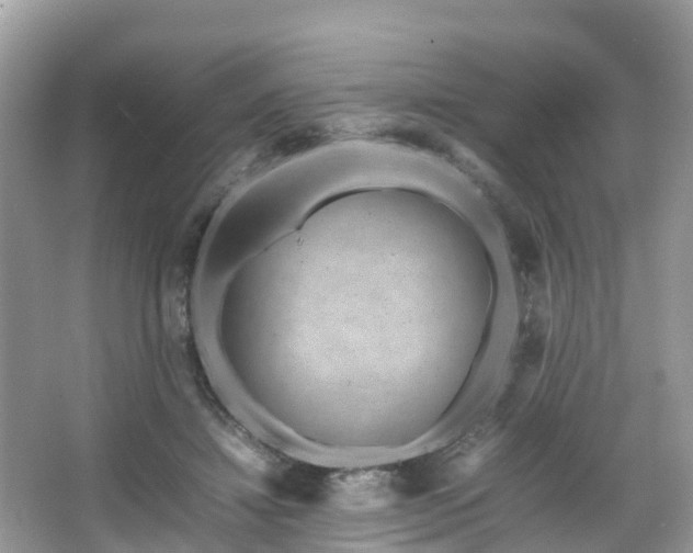 X0000066100452200603131234