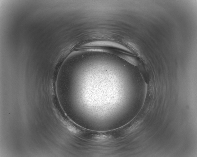 X0000066100453200603131234