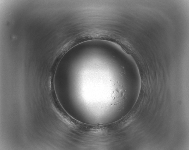 X0000066100454200603131234