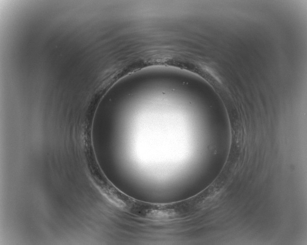 X0000066100455200603131234