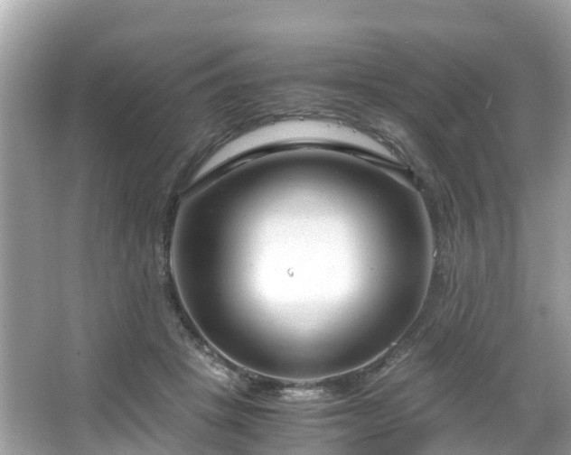 X0000066100457200603131234