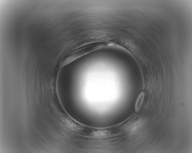 X0000066100461200603131234