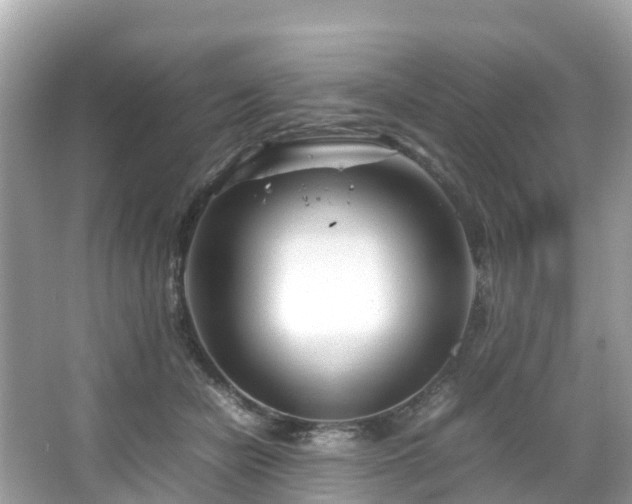 X0000066100462200603131234