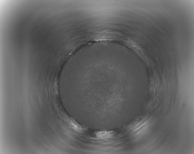 X0000066100465200603131234