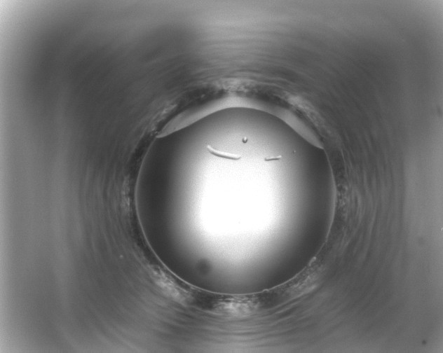 X0000066100466200603131234