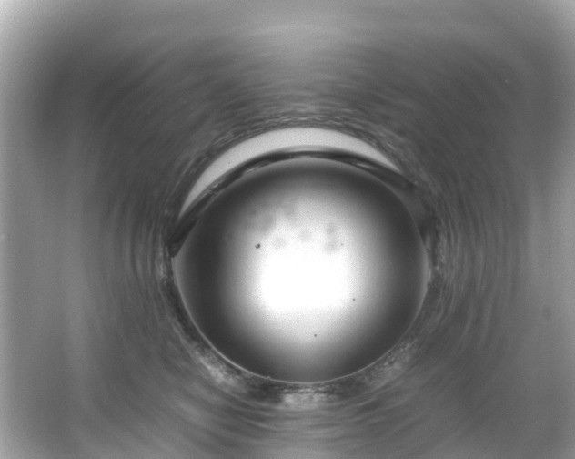 X0000066100470200603131234