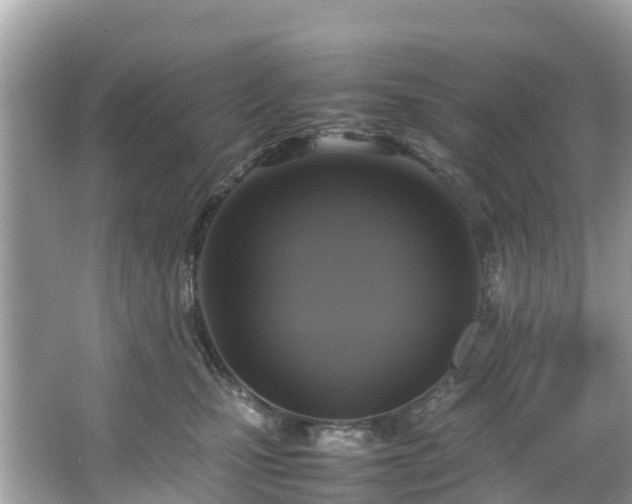 X0000066100471200603131234