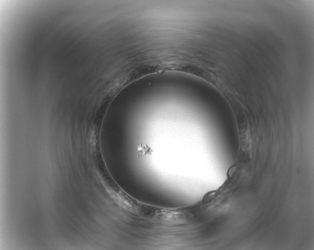 X0000066100472200603131234