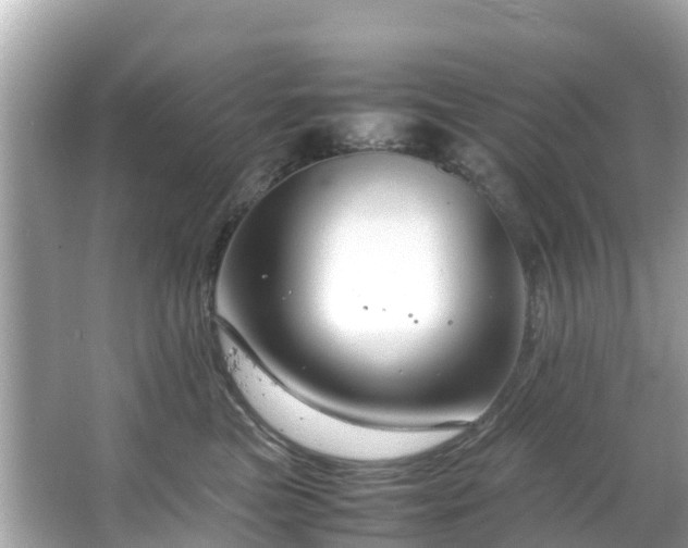 X0000066100473200603131234