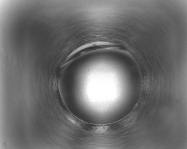 X0000066100474200603131234