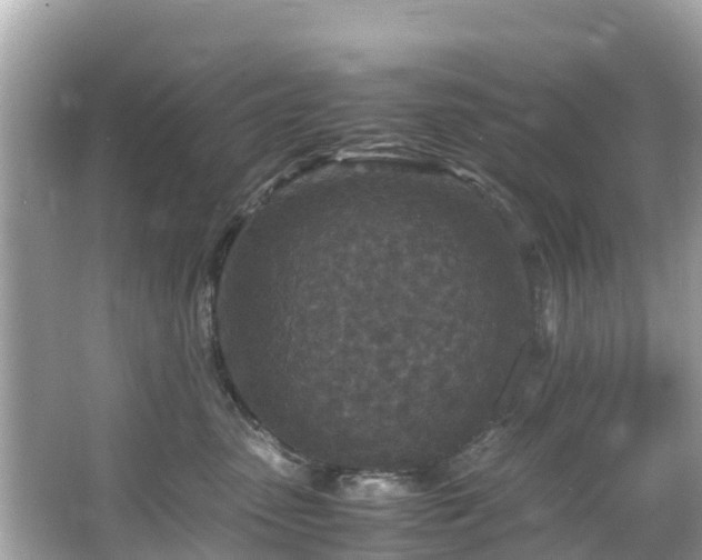 X0000066100475200603131234