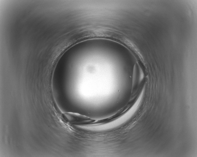 X0000066100481200603131234