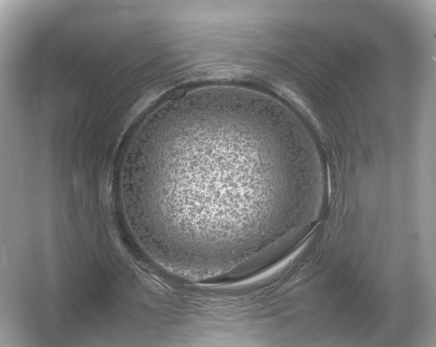 X0000066100483200603131234